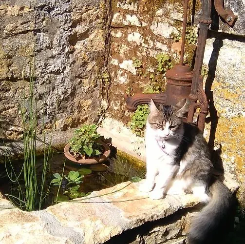 Bed & Breakfast Maison Chaumont 3*