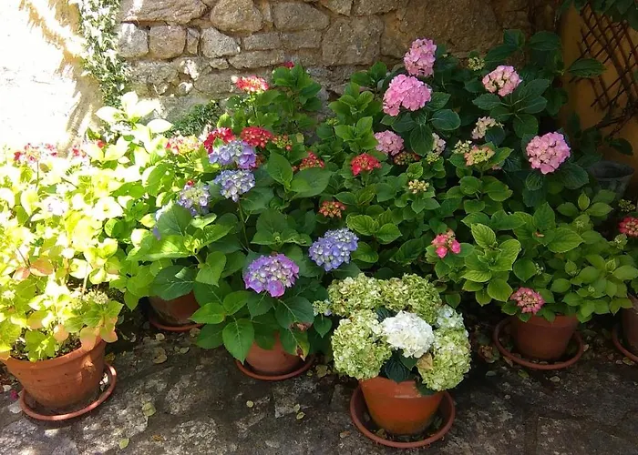 Bed & Breakfast Maison Chaumont